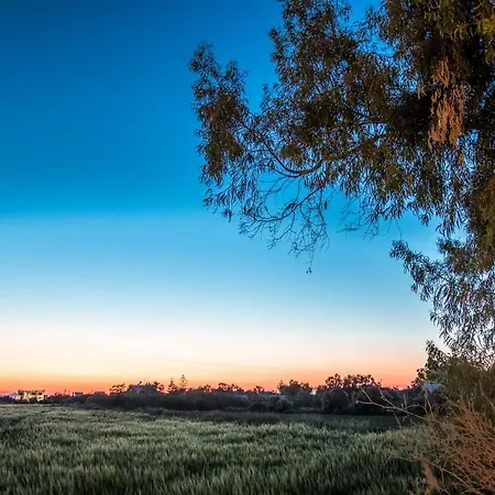 Ktima Bianco شقة فندقية Naxos City