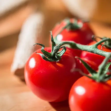 Ktima Bianco شقة فندقية