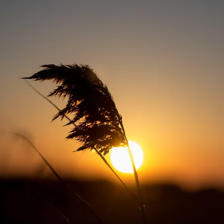 Ktima Bianco شقة فندقية Naxos City