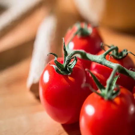 شقة فندقية Ktima Bianco