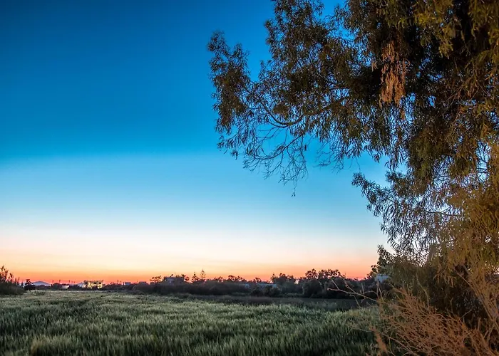 Ktima Bianco Aparthotel Naxos City