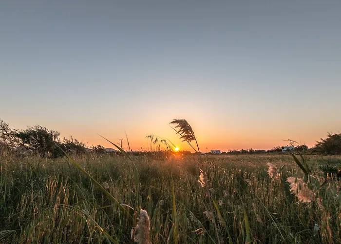 Aparthotel Ktima Bianco Naxos City