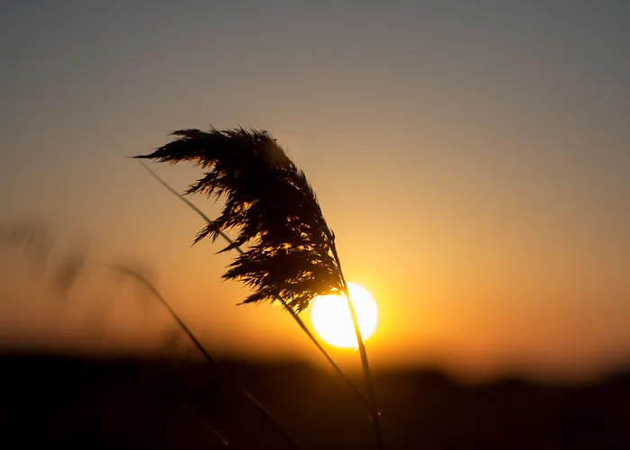 Ktima Bianco Aparthotel Naxos City