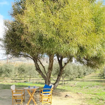 Ktima Bianco 4*